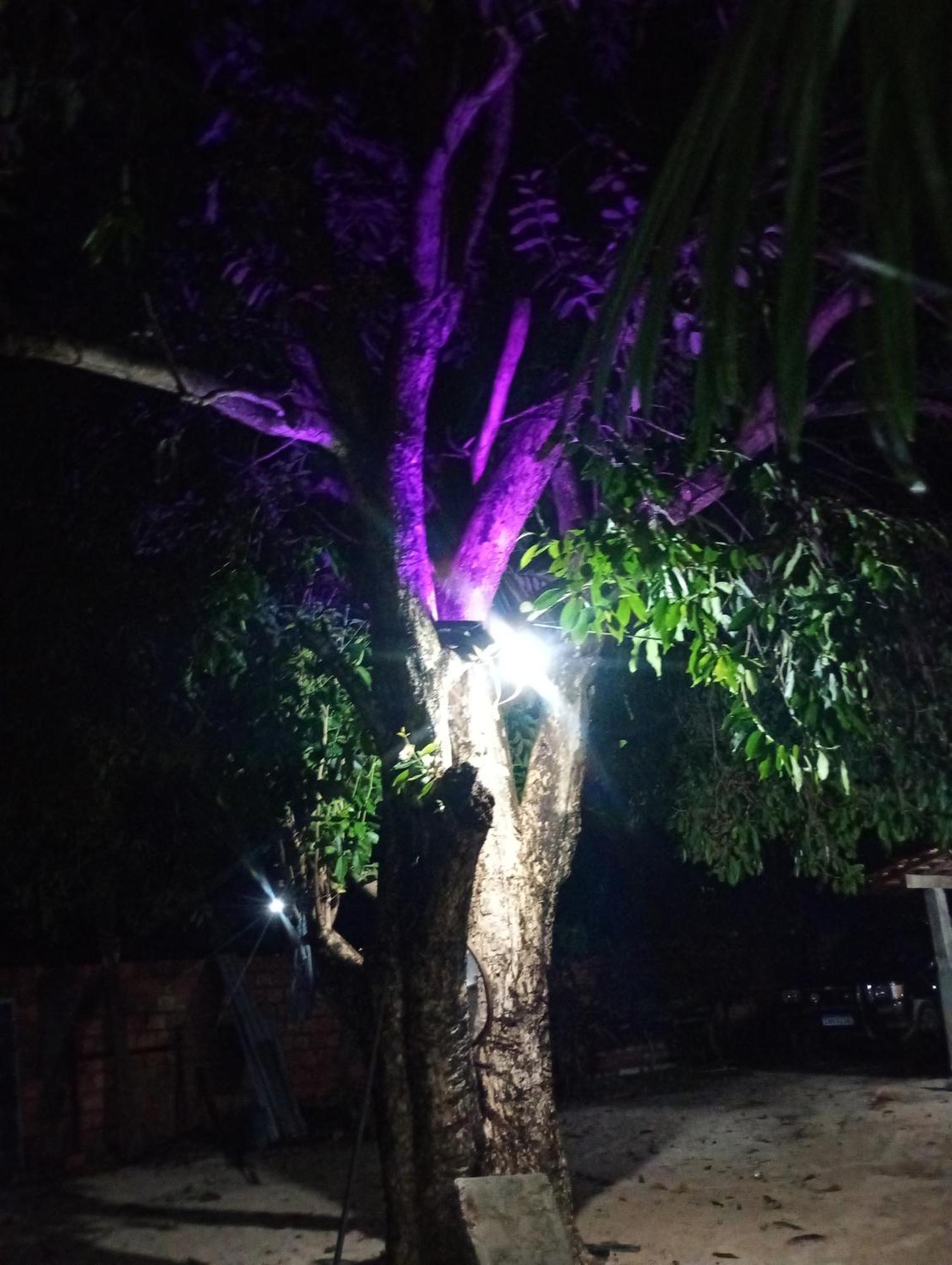 Hostel E Camping Na Rua Das Flores Santo Amaro do Maranhão Kültér fotó