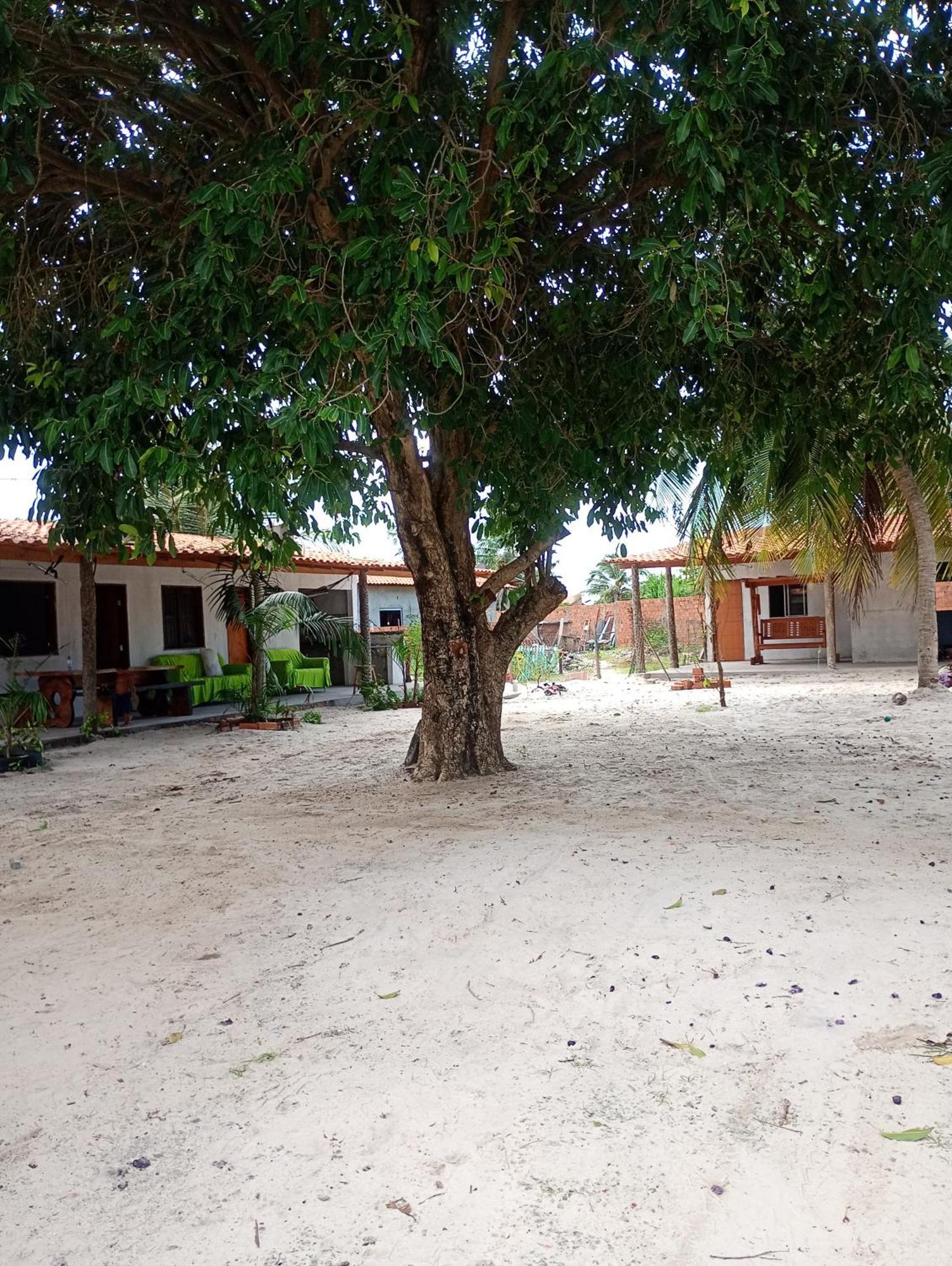 Hostel E Camping Na Rua Das Flores Santo Amaro do Maranhão Kültér fotó