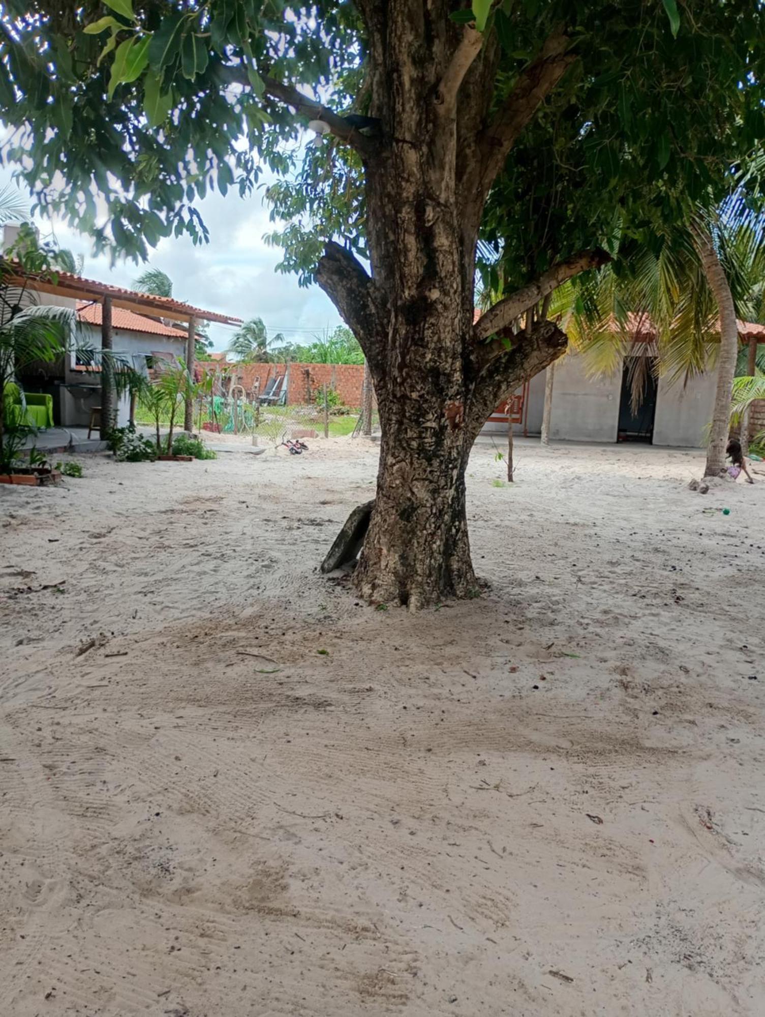 Hostel E Camping Na Rua Das Flores Santo Amaro do Maranhão Kültér fotó
